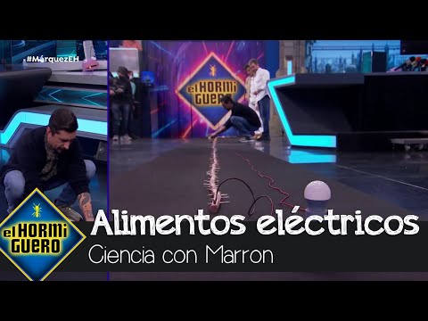 Circuitos eléctricos con alimentos: Marron prueba con una salchicha de 15 metros - El Hormiguero