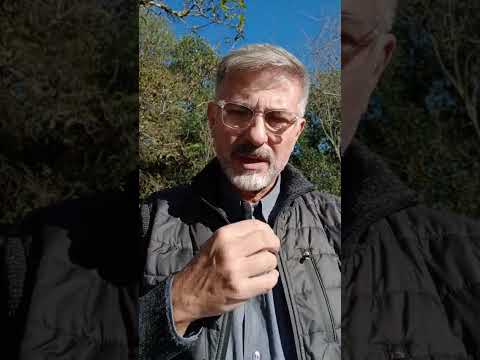 Evangelio del Nuestro Señor Jesucristo Con el Padre Fabian Esteban Oliva. 25/04/26
