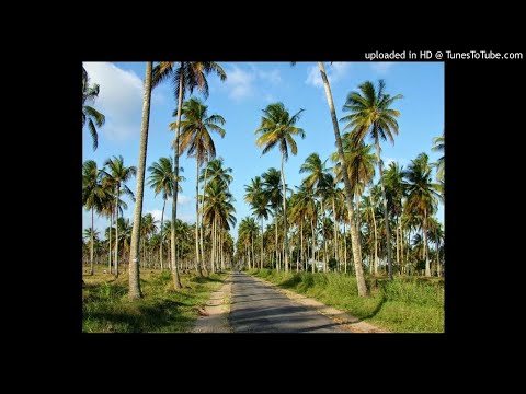 Big Rasta - Vatxipaca 2020