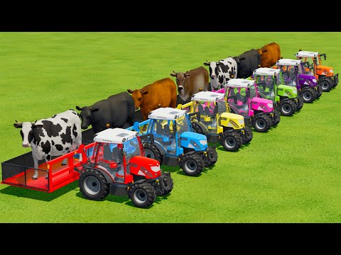 TRANSPORTING COWS WITH RIGI TRAC TRACTORS & MERCEDES TRUCKS - Farming Simulator 22