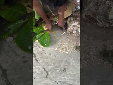 Reel tagged #fish