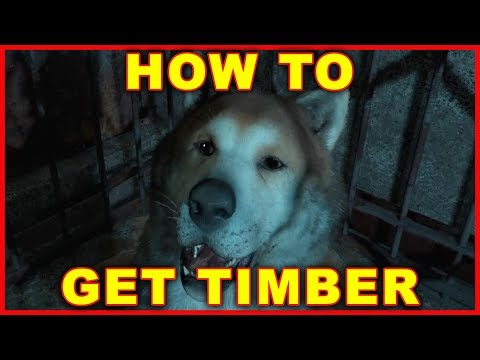 Far Cry New Dawn: How to Get the Dog Timber
