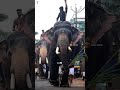 ആനയും പൂരവും Video Nithin Mohan