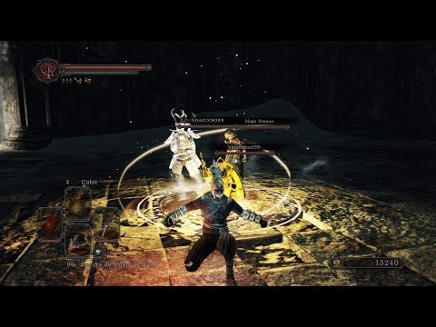 JOGANDO COM INSCRITOS E MEMBROS DA COMUNIDADE (COOP / PVP ) DARK SOULS 2