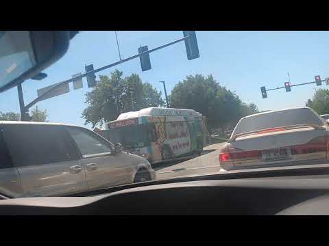 shorts city bus 🚌🚌 702 passing by