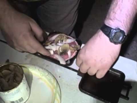 Rome Pie Iron Steak