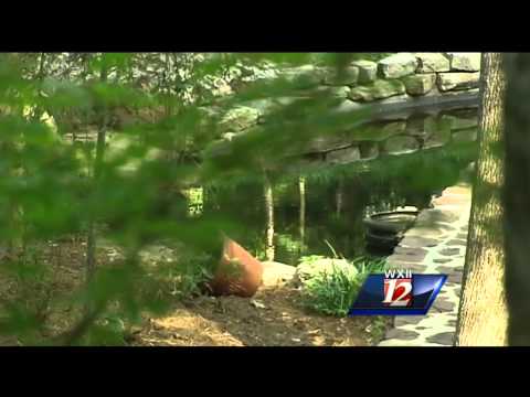 Reevestock Music Festival in Elkin this weekend