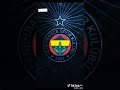 8 Kasım 2024