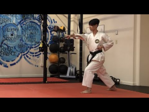 Shimabukuro No Sai Ichi - Yamanni-ryu Sai Kata / 島袋の釵 一 - 山根流 釵 形