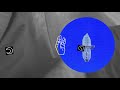 Mogli Earth Official Lyric Video Expedition Happiness Soundtrack