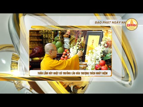 Bản tin Đạo Phật Ngày Nay tháng 10/2024