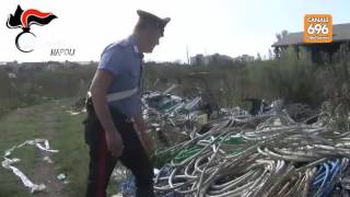 terra-dei-fuochi-blitz-dei-carabinieri-117-denunciati