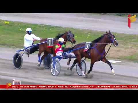 II corsa del 11 febbraio 2023 - Cat. G - Metri 1600 - Asp. Allievi