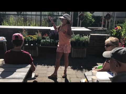 Hummingbird Feeders vs Wild Forage