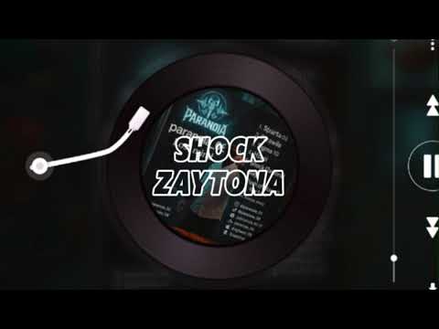 PARANOIA_SHOK (zaytona)