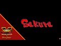 Street Fighter V Arcade Edition Story Mode Sakura