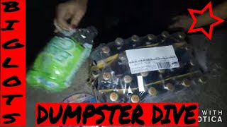 Yet another BIG LOTS Dumpster Diving Score!!! Thanks goes to God, for blessing us so much!!!