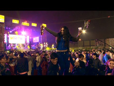 Paloma Perdida - Pumita Cazador