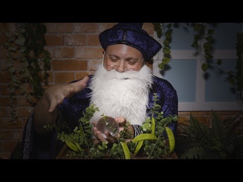 Canidae Grain-Free Pure Cat Food | Chewy