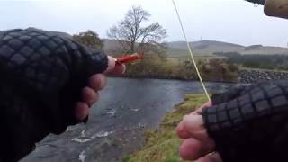 Fishing Cardrona Upper Tweed 25th and 27th October