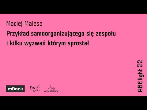 ABE light 2022: Maciej Malesa - Przykład samoorganizującego się zespołu i wyzwań którym sprostał
