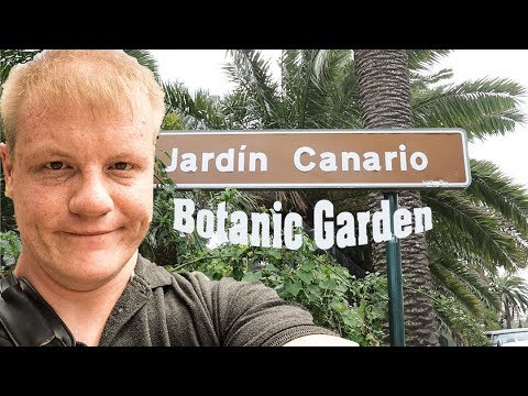 Perambulando pelo jardim botânico Jardín Botánico Canario Viera y Clavijo em Gran Canaria