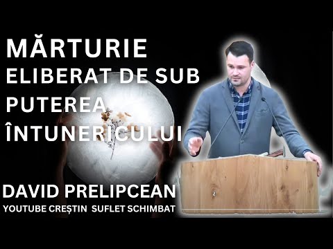 ELIBERAT DE SUB PUTEREA ÎNTUNERICULUI - DAVID PRELIPCEAN MARTURIE