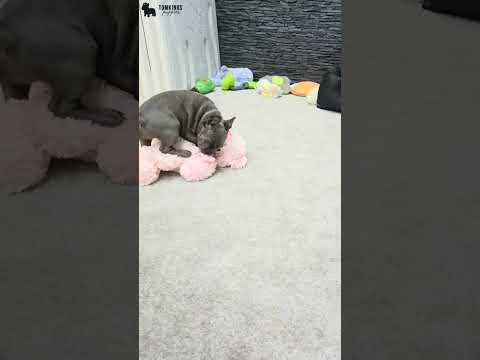 Video 2