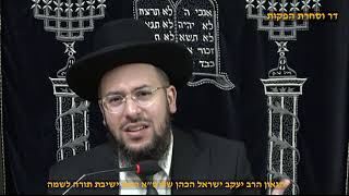 איך לזכות להיות בן חורין פרשת משפטים תשפ"ו הגאון הרב יעקב ישראל הכהן שליט"א ראש מוסדות ישמח ישראל (דר וסוחרת - הלוויין של מרן) - התמונה מוצגת ישירות מתוך אתר האינטרנט יוטיוב. זכויות היוצרים בתמונה שייכות ליוצרה. קישור קרדיט למקור התוכן נמצא בתוך דף הסרטון