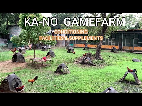 KA-NO CONDITIONING TRICKS & FACILITIES, VITAMINS #supplements  #healthy #amenity #facilities #setup