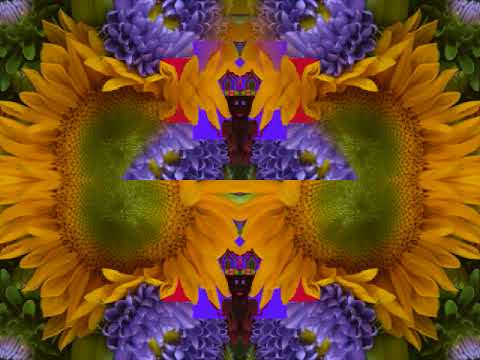 Sin City (by Steve Earle, Gillian Welch and David Rawlings live in NYC on 9/19/99)