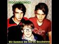 Tocotronic - Die sache mit der Team Dresch Platte