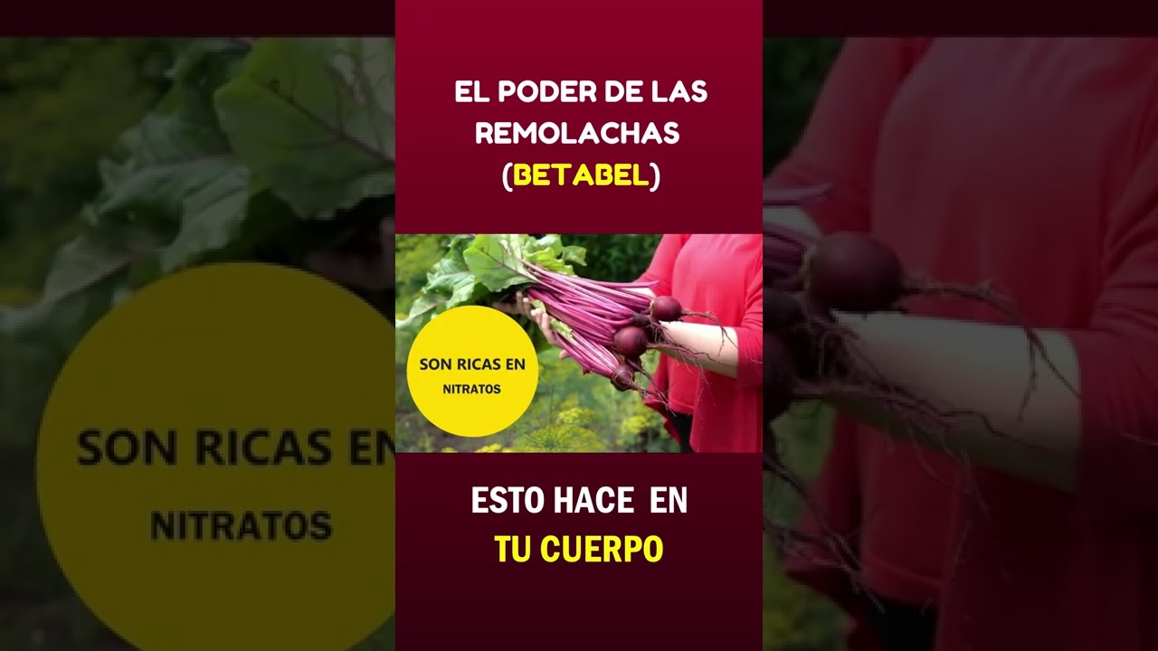 Watch La razón por la que los deportistas consumen BETABEL ó REMOLACHAS #shorts Now La razón por la que los deportistas consumen BETABEL ó REMOLACHAS #shorts