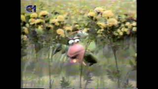 Rua Sesamo - Inch Worm