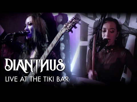 Dianthvs: Live at the Tiki Bar