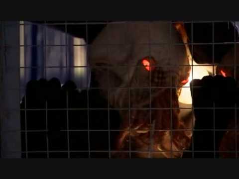 No such thing as aliens