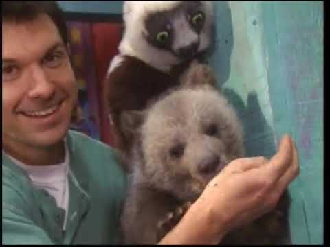 Zoboomafoo | Fearfest [Full PBS Broadcast]
