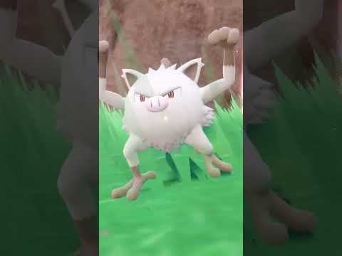 THE BEST POKEMON to SOLO TERA RAIDS in Scarlet and Violet