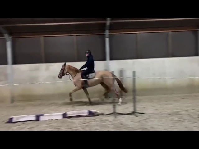 Oradu S Ridden
