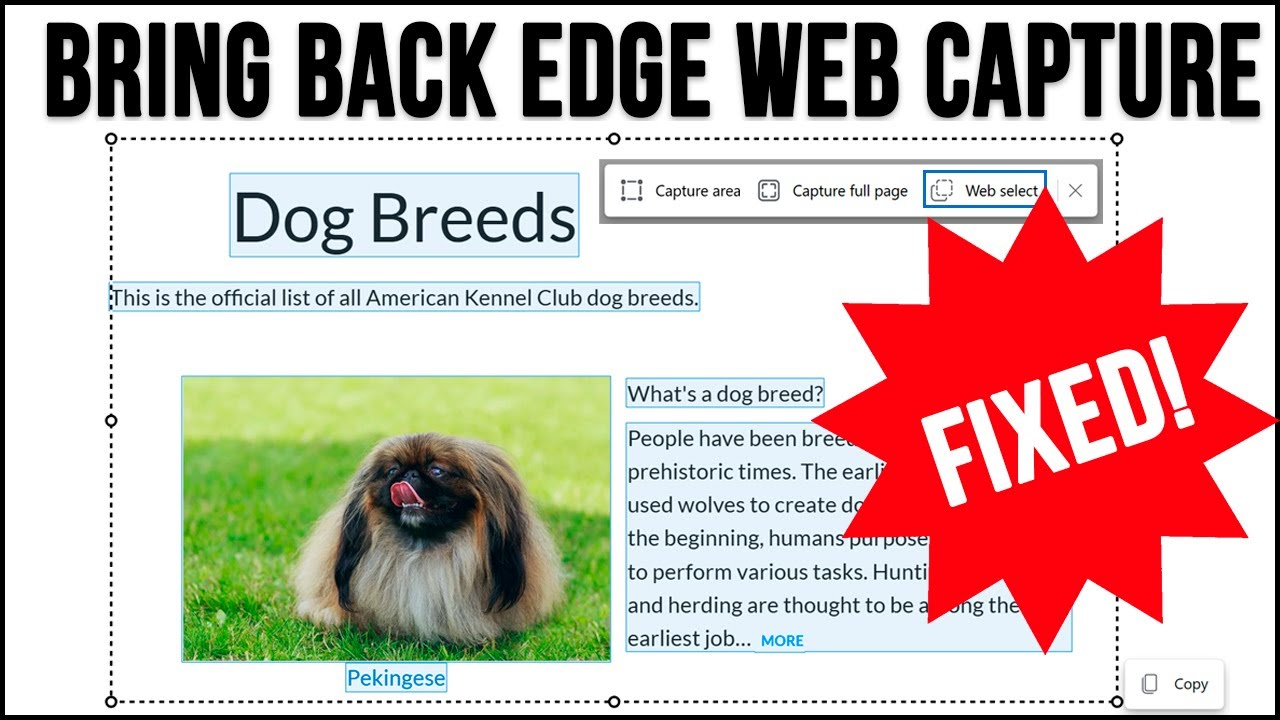 How to Enable the Web Select Feature in Microsoft Edge