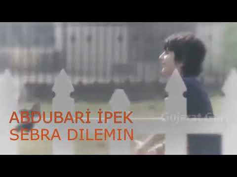 ABDULBARİ İPEK ( sebra dılemın )