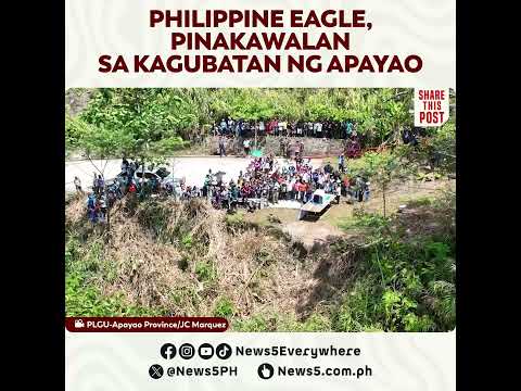 Philippine Eagle, pinakawalan sa kagubatan ng Apayao