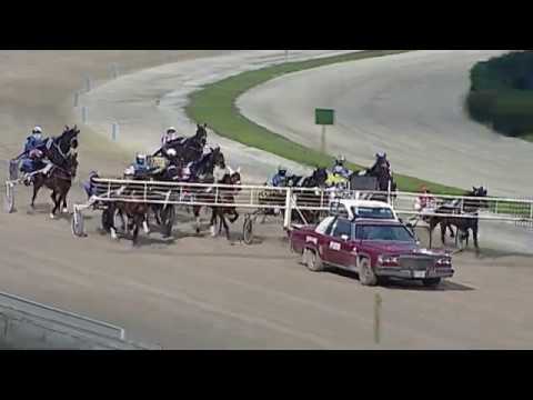 Aversa trotto 1 Febbraio 2020 - 5° Corsa