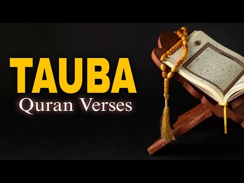 Quran Islamic Series 100 and Quran With Tafsir