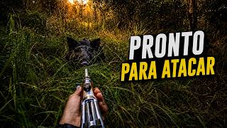 SÓ VI NA ÚLTIMA HORA! | JAVALI BRASIL