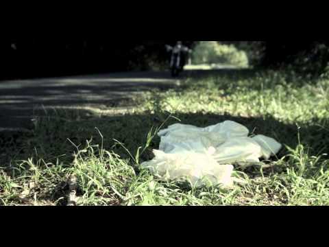 Allen & Envy and Elles de Graaf - The Long Run (Music video)))