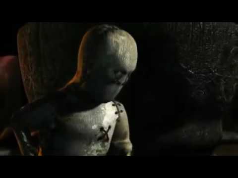 Gato- Floare albastră