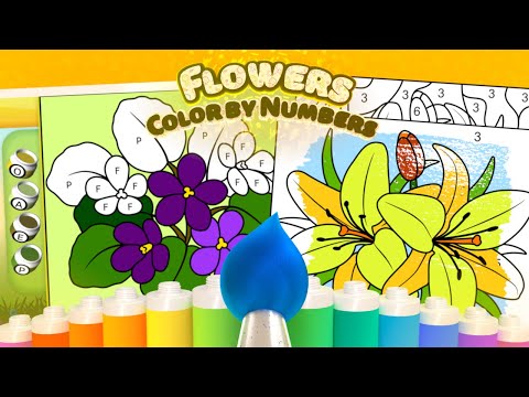 Kids Flower Color by Number Video
