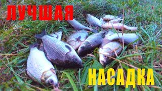 Ловля карасей на перловку