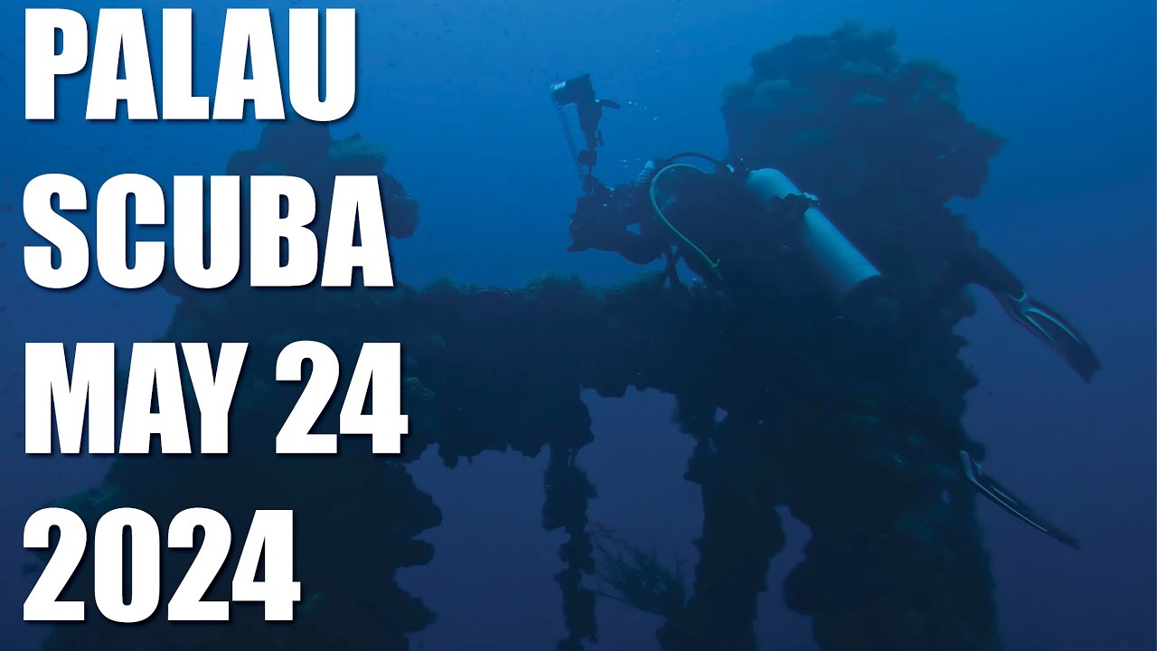 Rainstorm Serenity and WWII Wreck Exploration | Palau Diving Finale